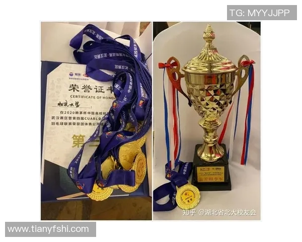 北京羽毛球队灵活性深度对比分析及其影响因素探讨