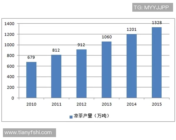 南京飞盘队的成功运营策略与发展模式深度分析