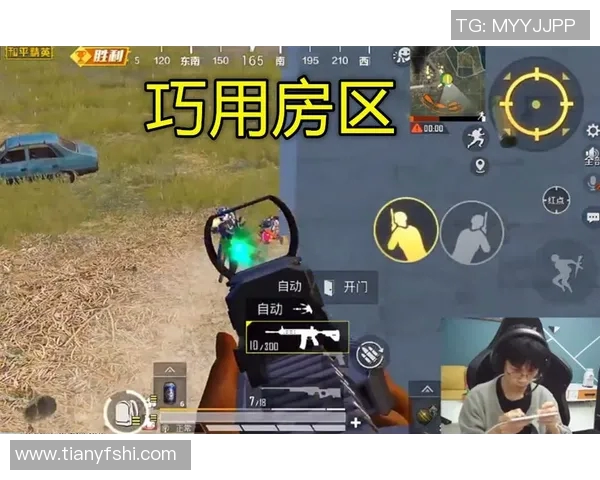 和平精英战术解析：深入探讨LNG在阵地战中的战略运用与战斗技巧