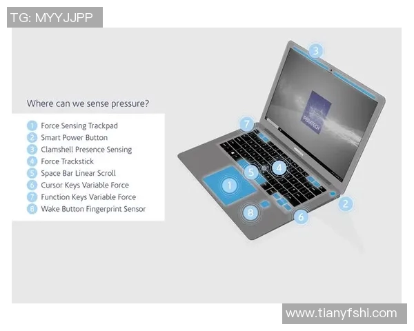 数据分析揭示WE力量的表现与潜力探讨