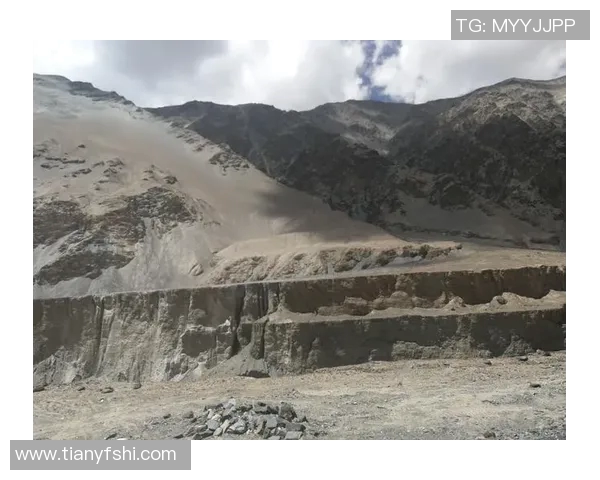 深度对话：探索陈娜在和平精英中的成长与挑战之路
