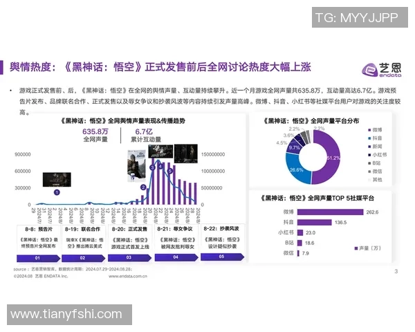 独家解析：WE力量对比及其在市场中的影响力分析