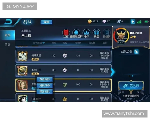 王者荣耀战术分析：深入探讨WE战队的快攻策略与执行细节