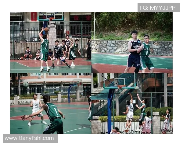 篮球意识排行榜揭晓广州篮球队荣登第十名引发热议