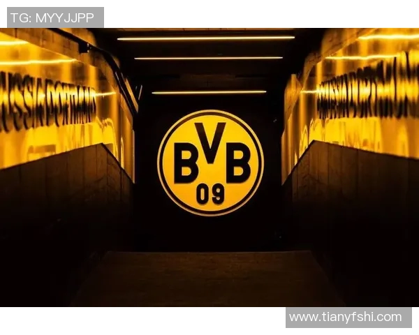 多特蒙德对阵汉堡精彩直播全程回顾与赛后分析