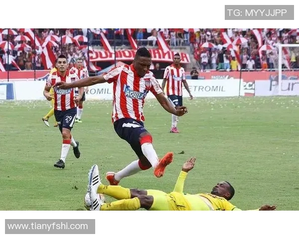 威斯特曼与昆卡对决前瞻分析及比赛结果预测