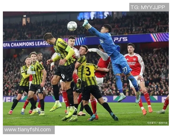 阿德莱德迎战惠灵顿期待精彩对决与精彩进球的足球盛宴