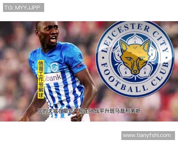 加的夫城与莱切城对决数据分析及比赛预测解析